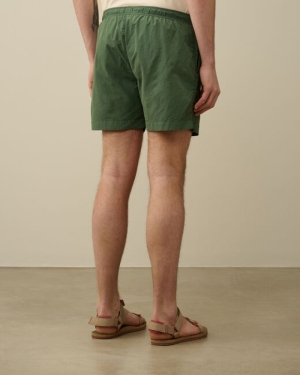 649/DUCK GREEN