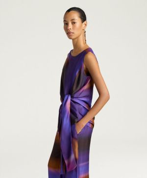  4468 IRIS/CARAM