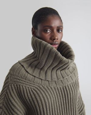  TURTLE SHELL GR